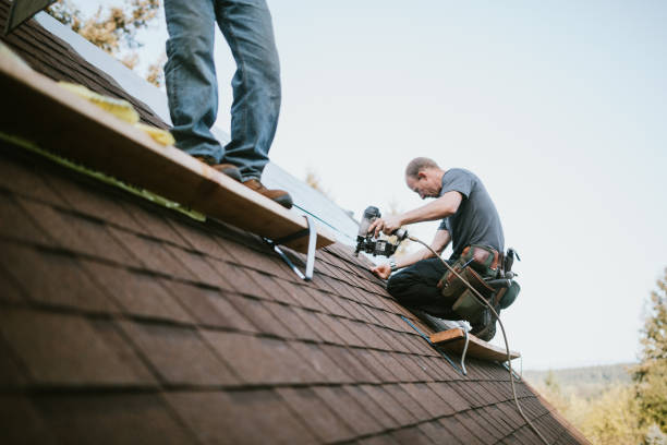 Quick and Trustworthy Emergency Roof Repair Services in Homewood, SC