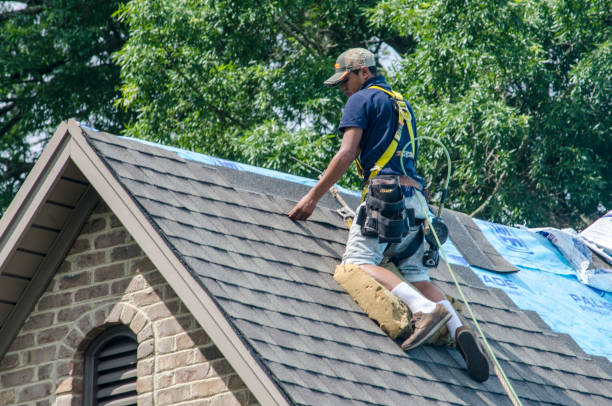 Best Gutter Installation and Roofing  in Homewood, SC